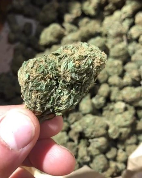 Cannatonic